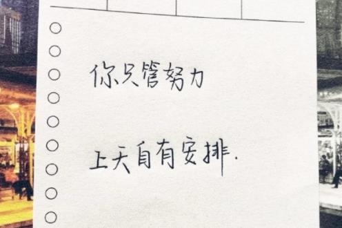 启臆的拼音_启臆的读音_启臆的英文